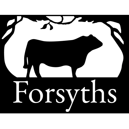 Christmas Pudding (Forsyths own recipe)